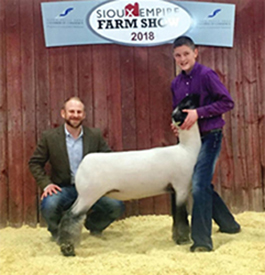 Farao Club Lambs Winners