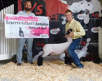 Farao CLub Lambs Winners