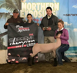 Farao Club Lambs Winners