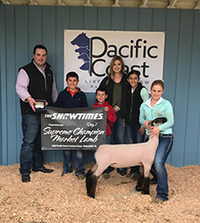 Farao Club Lambs Winners
