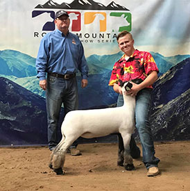Farao Club Lambs Winners