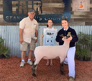 Farao Club Lambs Winners