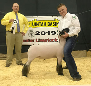 Farao Club Lambs Winners