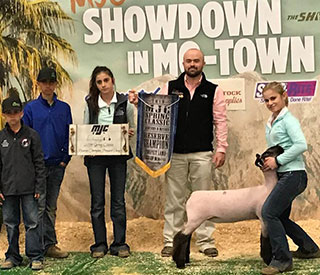 Farao Club Lambs Winners