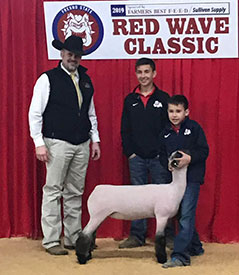 Farao Club Lambs Winners