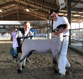 Farao Club Lambs Winners