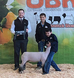 Farao Club Lambs Winners
