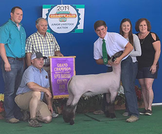 Farao Club Lambs Winners